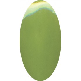 Acrílico Color Nº 63 - Pear - 10gr