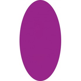 Acrílico Color Nº 100 - Bright Purple NC - 10gr